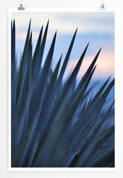 Paul Sinus Art Sonnenaufgang über einer Agave für Tequila Produktion 60x90cm Poster