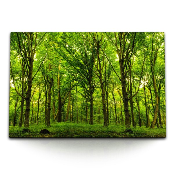 Paul Sinus Art 120x80cm Wandbild auf Leinwand Grüner Wald Bäume Natur Sommer