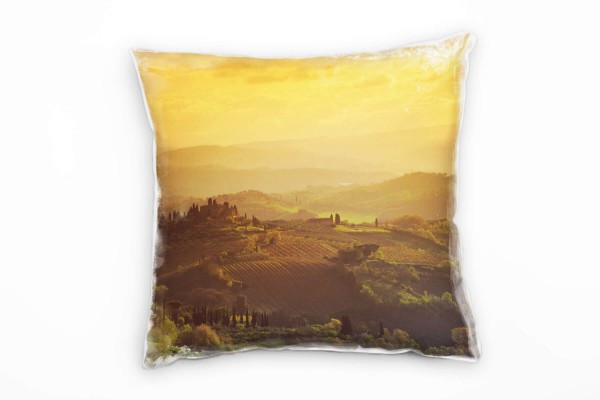 Paul Sinus Art Landschaft, orange, grün, Weinstöcke, Sonnenuntergang Deko Kissen 40x40cm für Couch Sofa Lounge Zier