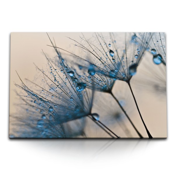 Paul Sinus Art 120x80cm Wandbild auf Leinwand Pusteblume Fotokunst Nahaufnahmen Makrofotografie Blau