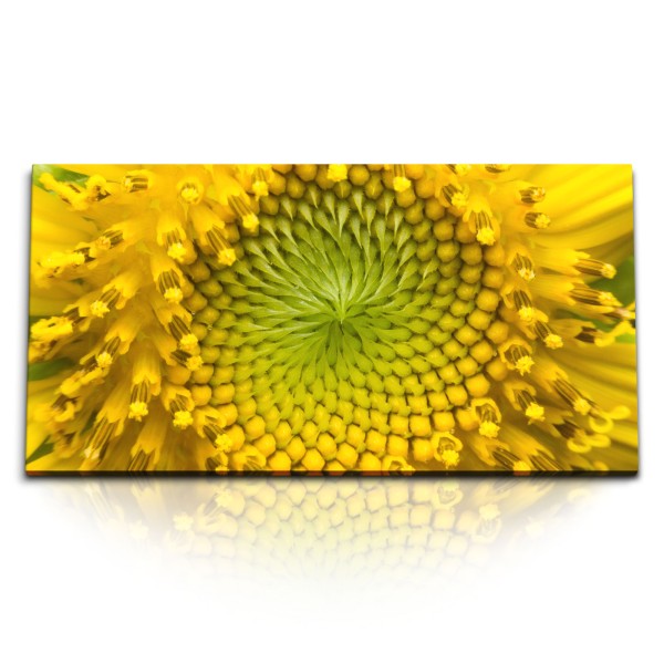 Paul Sinus Art Kunstdruck Bilder 120x60cm Sonnenblume Gelb Blume Sommer Nahaufnahme