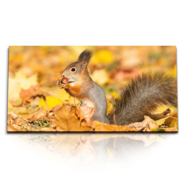 Paul Sinus Art Kunstdruck Bilder 120x60cm Herbst Herbstblätter Eichhörnchen Sonnenschein