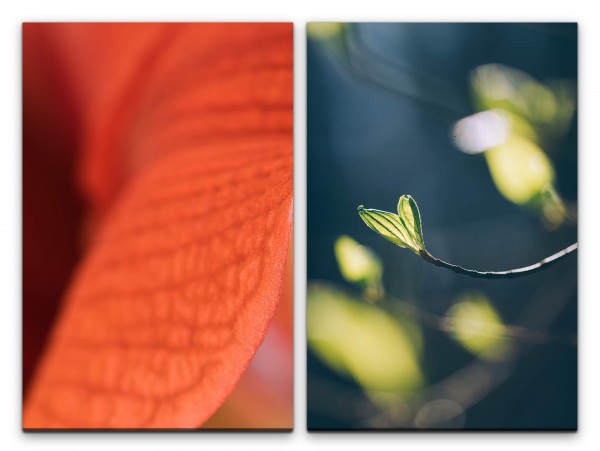 Paul Sinus Art 2 Bilder je 60x90cm Blüte Zweig Frühling Dekorativ Erfrischend Heilsam Makrofotografie