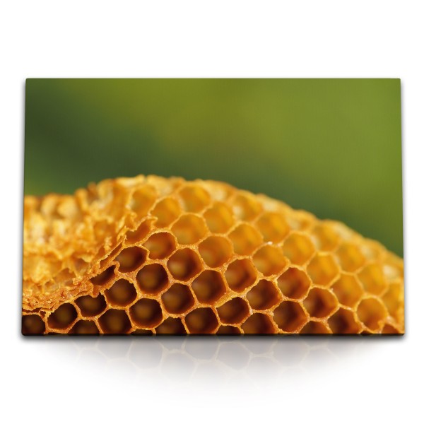 Paul Sinus Art 120x80cm Wandbild auf Leinwand Bienenwachs Bienenstock Bienen Honig Makrofotografie