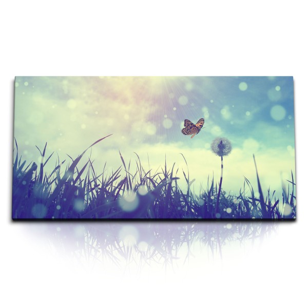 Paul Sinus Art Kunstdruck Bilder 120x60cm Sommerwiese Schmetterling Sonnenschein Sommer