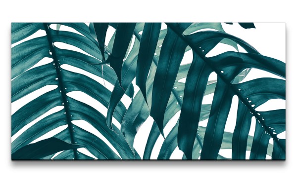 Paul Sinus Art Leinwandbild 120x60cm Fensterblatt Monstera Blätter Dekorativ Zimmerpflanze