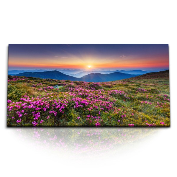 Paul Sinus Art Kunstdruck Bilder 120x60cm Berglandschaft Berge Sonnenuntergang Abendrot Bergblumen