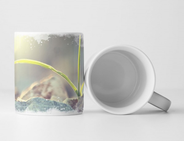 Paul Sinus Art Tasse Geschenk Naturfotografie – Zarter Spross zwischen Steinen