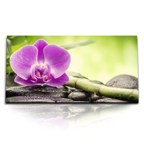 Paul Sinus Art Kunstdruck Bilder 120x60cm Orchidee Blume Blüte Steine Bambus Violett Grün