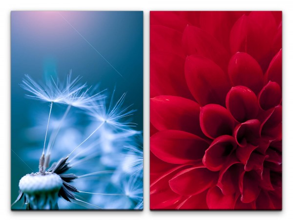 Paul Sinus Art 2 Bilder je 60x90cm Dahlie rote Blüte Pusteblume Sommer Blau Leicht Makrofotografie