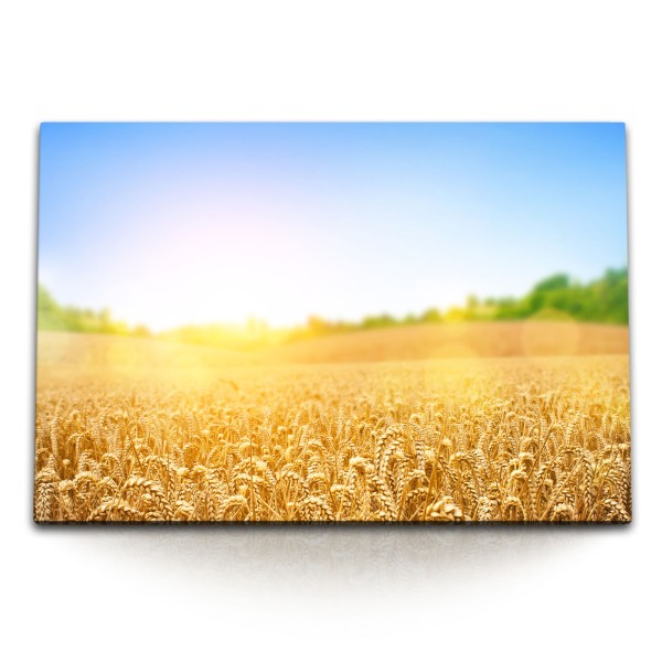 Paul Sinus Art 120x80cm Wandbild auf Leinwand Sommer Weizen Weizenfeld Feld blauer Himmel