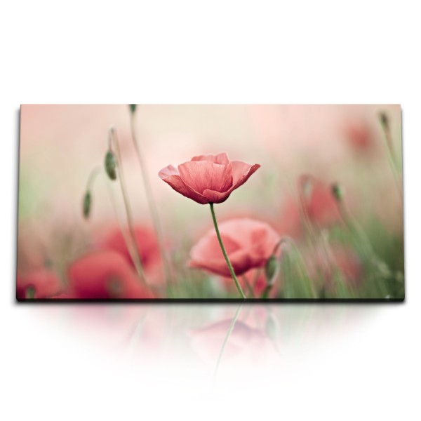 Paul Sinus Art Kunstdruck Bilder 120x60cm Mohnblume Wildblume Feldblume rote Blüte Natur