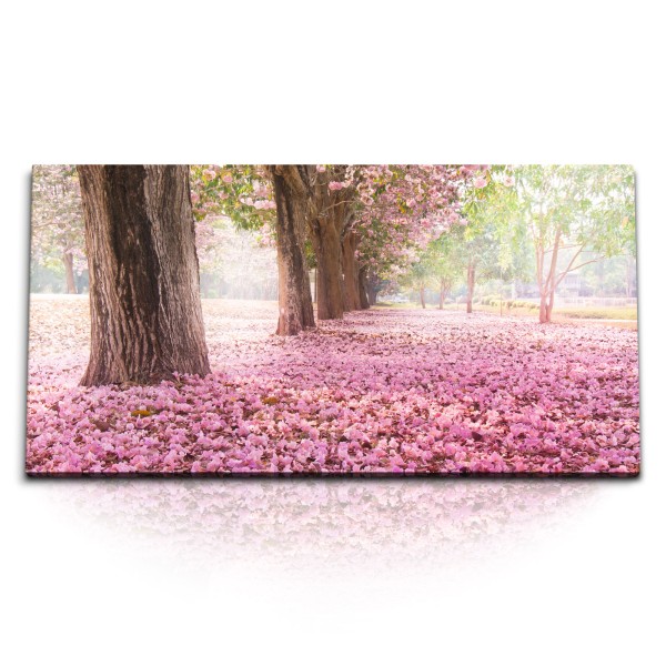 Paul Sinus Art Kunstdruck Bilder 120x60cm Baumblüten Frühling Rosa Park Bäume Natur