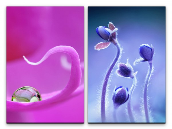 Paul Sinus Art 2 Bilder je 60x90cm Pink Blumen Blüten Wassertropfen Frühling Blau Makrofotografie