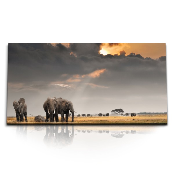 Paul Sinus Art Kunstdruck Bilder 120x60cm Afrika Landschaft Tierfotografie Elefanten Elefantenherde