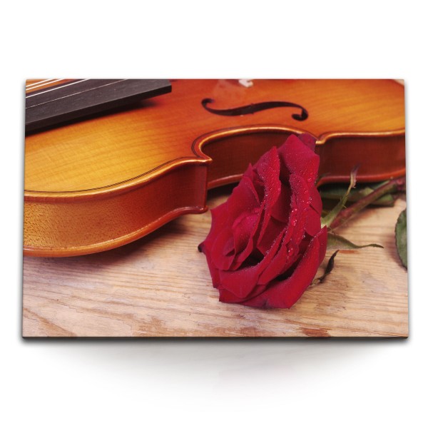 Paul Sinus Art 120x80cm Wandbild auf Leinwand Violine Geige rote Rose Rosenrot Blume Musik