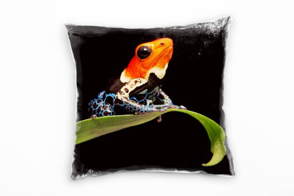 Paul Sinus Art Tiere, Frosch auf einem Blatt, grün, orange, blau Deko Kissen 40x40cm für Couch Sofa Lounge Zierkiss