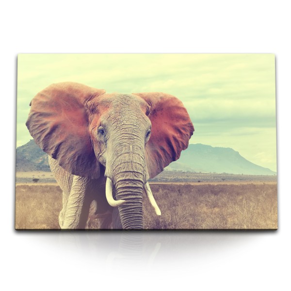 Paul Sinus Art 120x80cm Wandbild auf Leinwand Elefant Afrika Tierfotografie afrikanische Landschaft