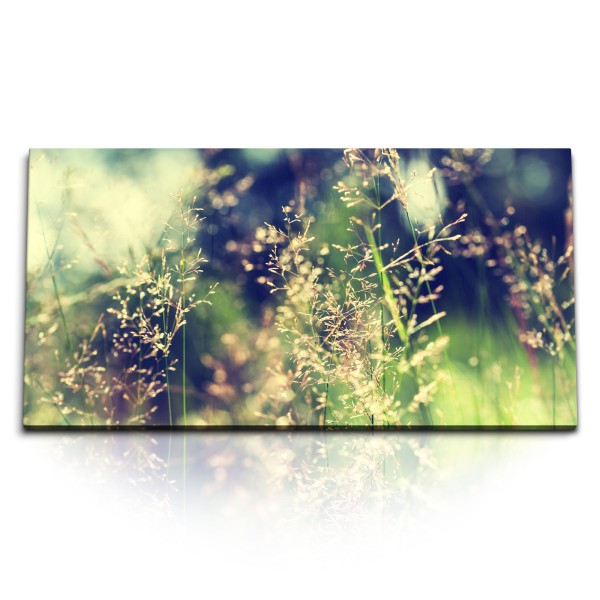 Paul Sinus Art Kunstdruck Bilder 120x60cm Wildwiese Gras Halme Natur Sommer Sonnenschein