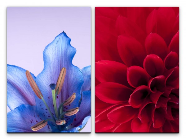 Paul Sinus Art 2 Bilder je 60x90cm Dahlie rote Blume Lilie Blüten Sommer Duft Makrofotografie