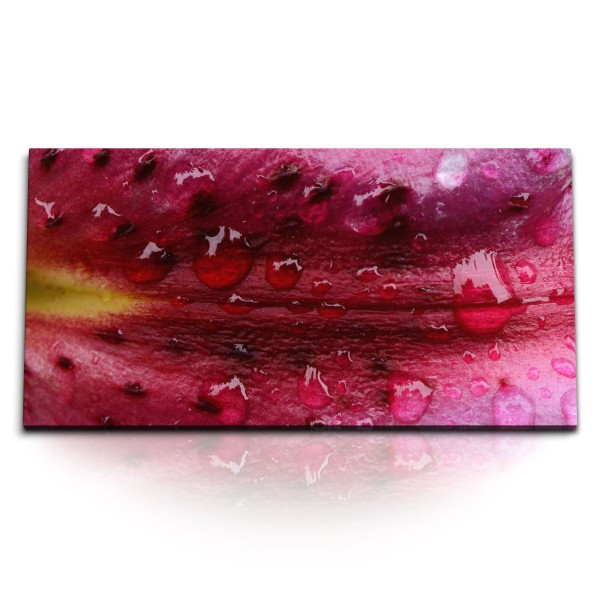 Paul Sinus Art Kunstdruck Bilder 120x60cm Makrofotografie rote Blüte Blume Regentropfen Tropfen