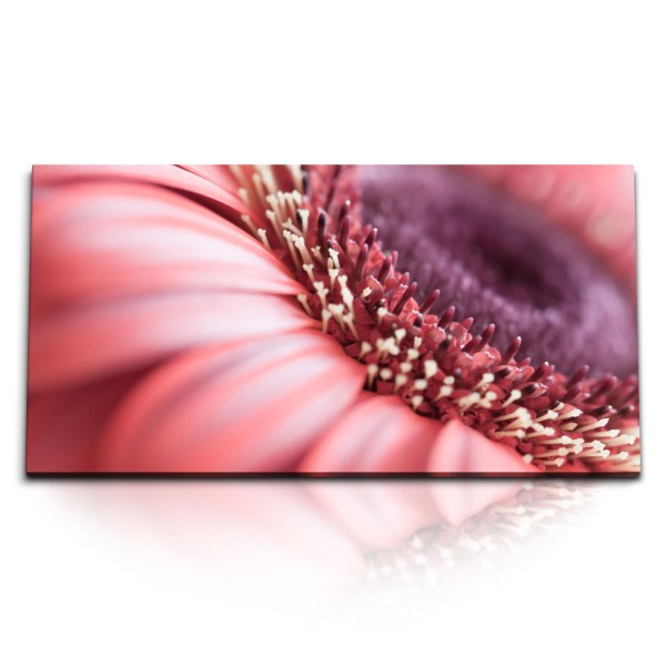 Paul Sinus Art Kunstdruck Bilder 120x60cm Gerbera Blüte Blume Rot Makrofotografie Makro