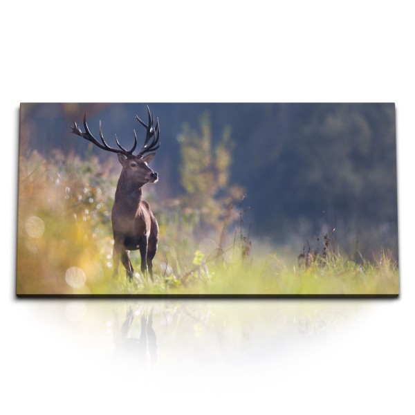 Paul Sinus Art Kunstdruck Bilder 120x60cm Hirsch Hirschgeweih Natur Tierfotografie Waldrand