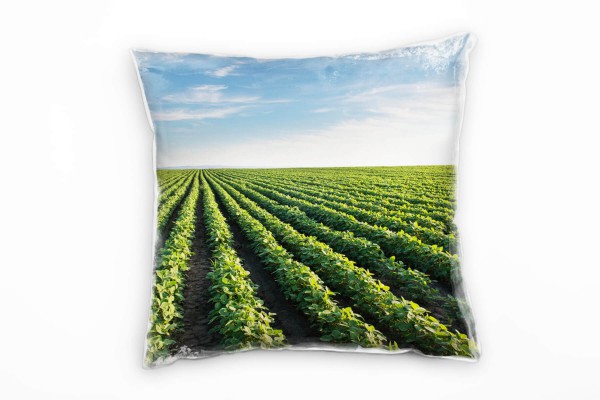 Paul Sinus Art Landschaften, Feld, blauer Himmel, grün Deko Kissen 40x40cm für Couch Sofa Lounge Zierkissen