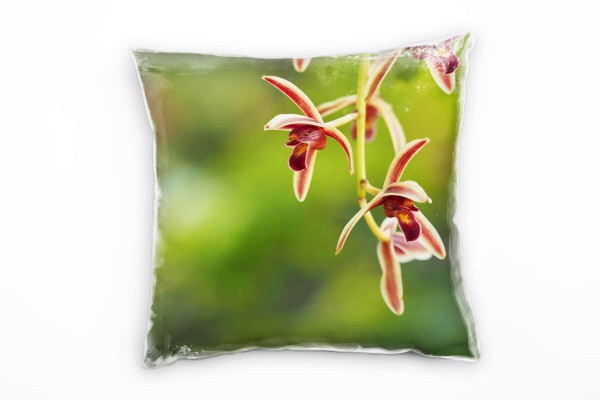 Paul Sinus Art Blumen, Orchidee, Blüten, grün, rot Deko Kissen 40x40cm für Couch Sofa Lounge Zierkissen