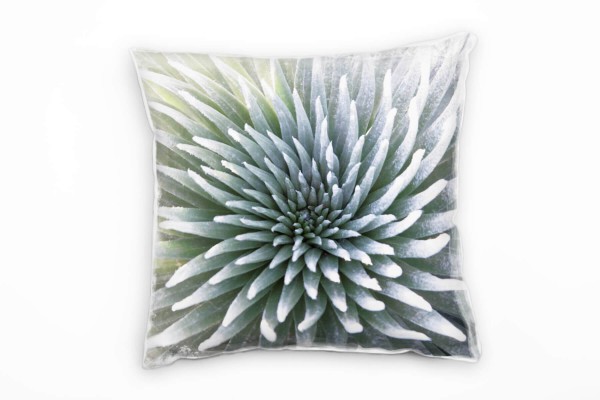 Paul Sinus Art Macro, Blume, weiß, Gelbstich, hoch auflösend Deko Kissen 40x40cm für Couch Sofa Lounge Zierkissen