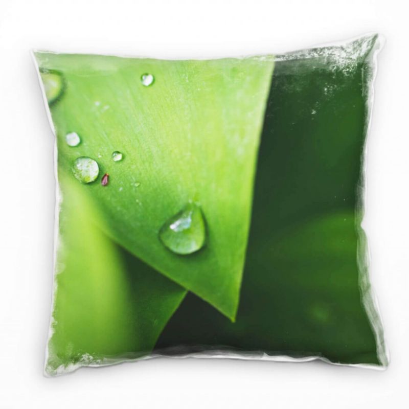 Macro, Natur, Blätter, Wassertropfen, grün Deko Kissen 40x40cm für Couch Sofa Lounge Zierkissen