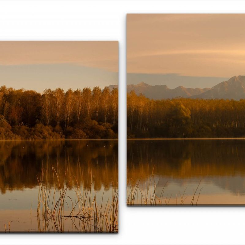 Bäume reflektieren Wandbild in verschiedenen Größen