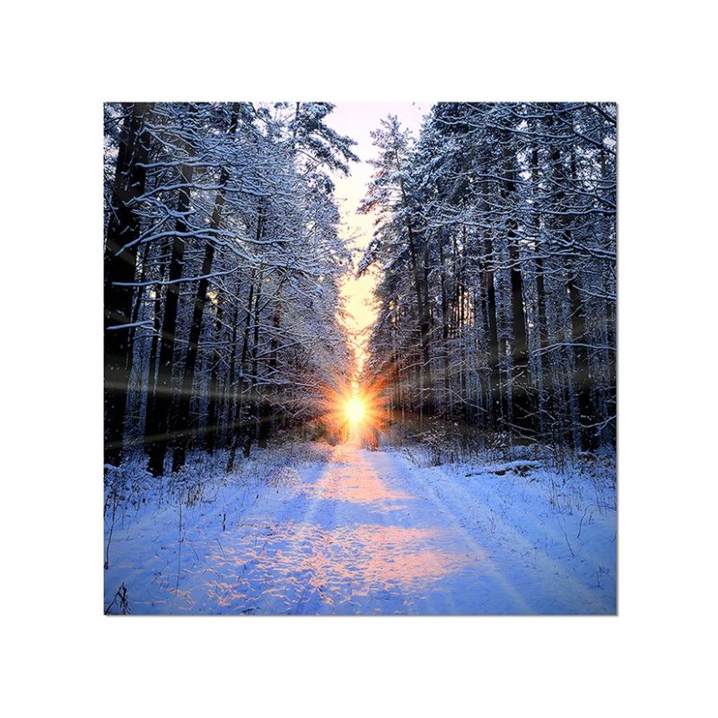 80x80cm Wald Winter Schnee Sonnenaufgang