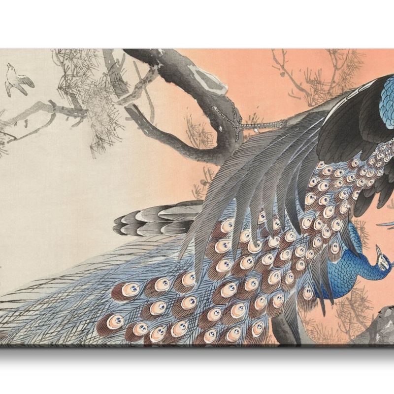 Remaster 120x60cm Ohara Koson traditionell japanische Kunst wunderschöne Pfaue Federkleid