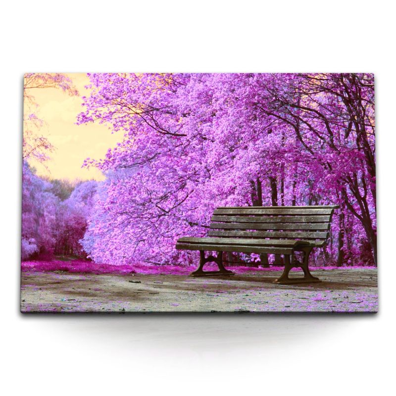 120x80cm Wandbild auf Leinwand Holzbank im Park Frühling Baumblüten Blüten Violett