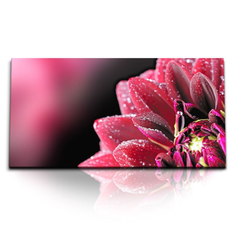 Kunstdruck Bilder 120x60cm Dahlie Dahlienblüte rote Blume Nahaufnahme Wassertropfen