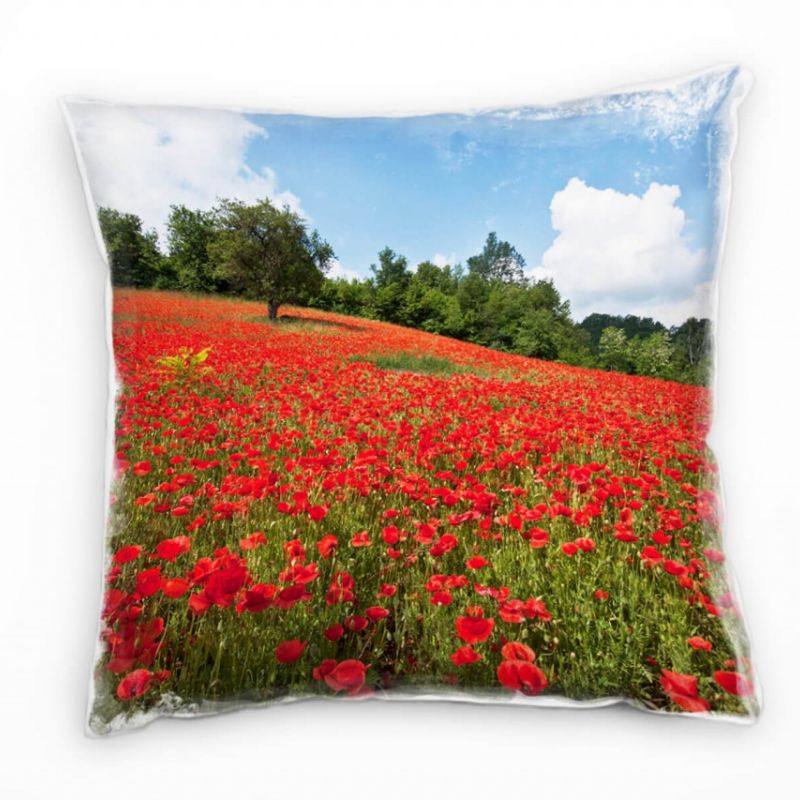 Blumen, rot, grün,blau, Klatschmohnwiese Deko Kissen 40x40cm für Couch Sofa Lounge Zierkissen