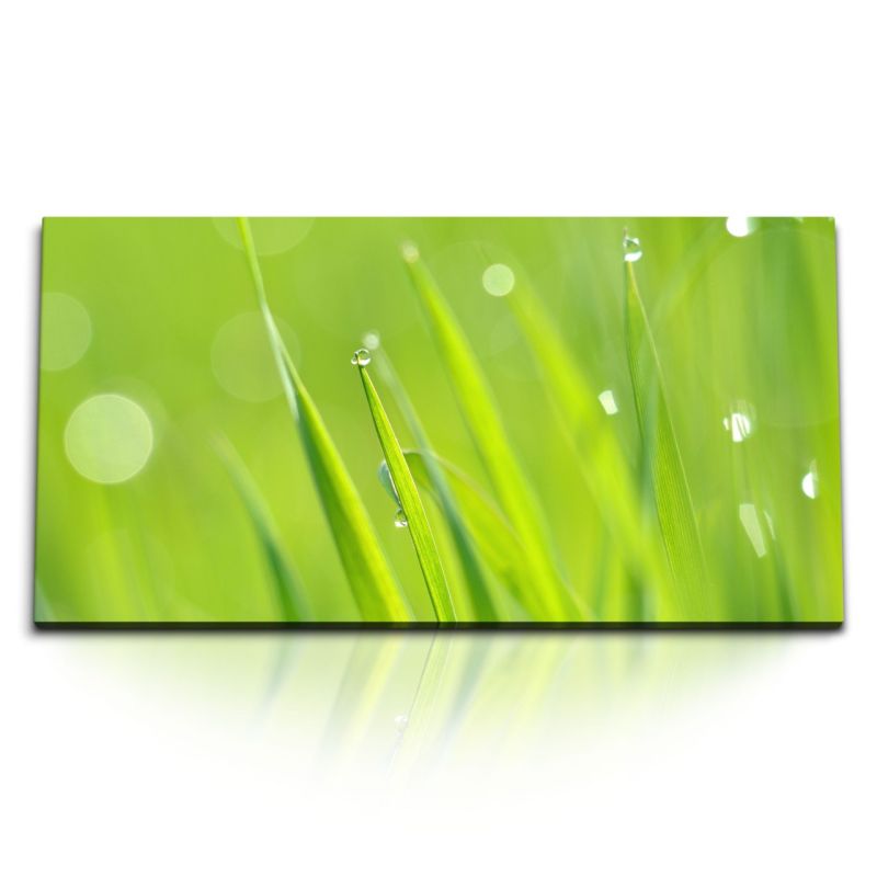 Kunstdruck Bilder 120x60cm Grünes Gras Grashalme Wassertropfen Natur Morgentau