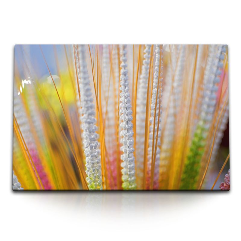 120x80cm Wandbild auf Leinwand Pflanze Feld Natur Gelb Sommer Sonnenschein