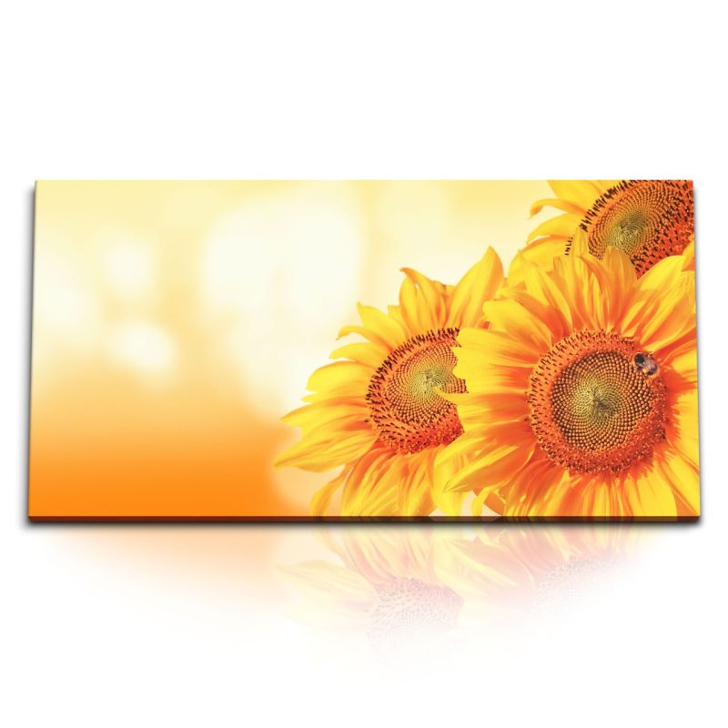 Kunstdruck Bilder 120x60cm Sonnenblumen Sonnenschein Gelb Blumen Biene