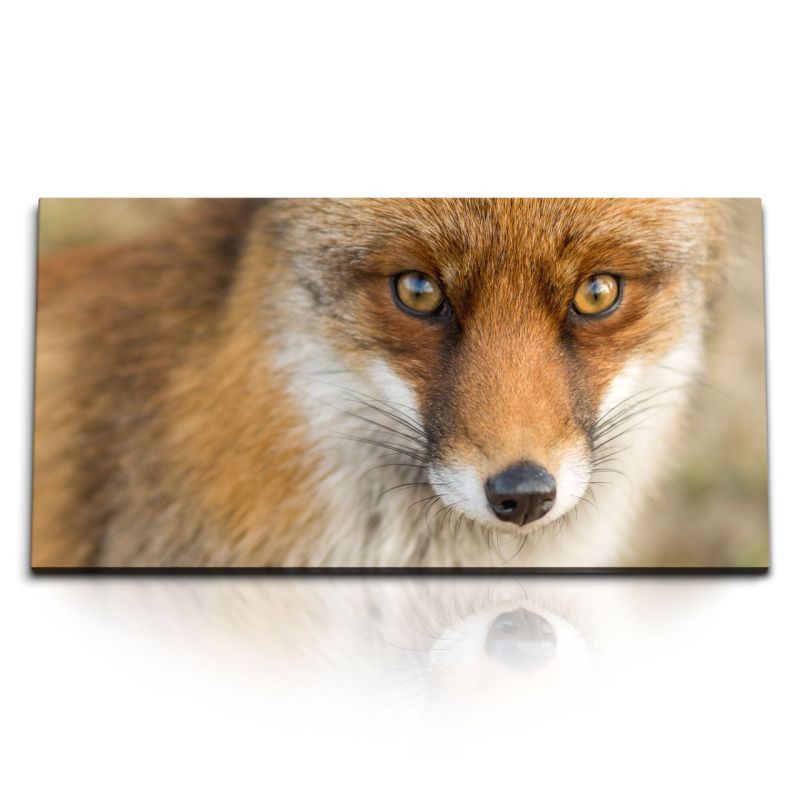 Kunstdruck Bilder 120x60cm Fuchs Fuchsaugen Tierfotografie Rot