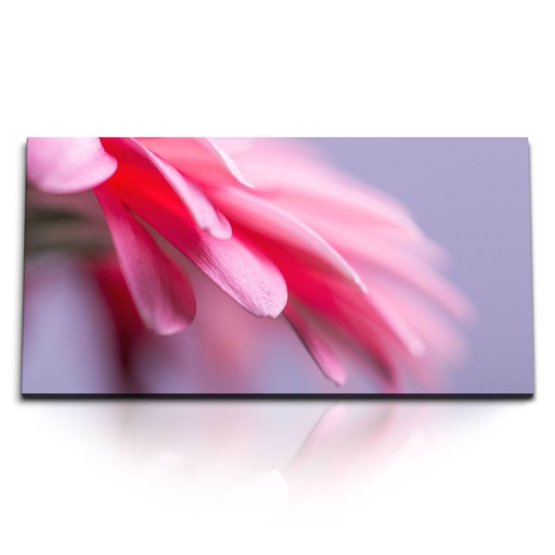 Kunstdruck Bilder 120x60cm Nahaufnahme Blüte Blume Rosa Kunstvoll