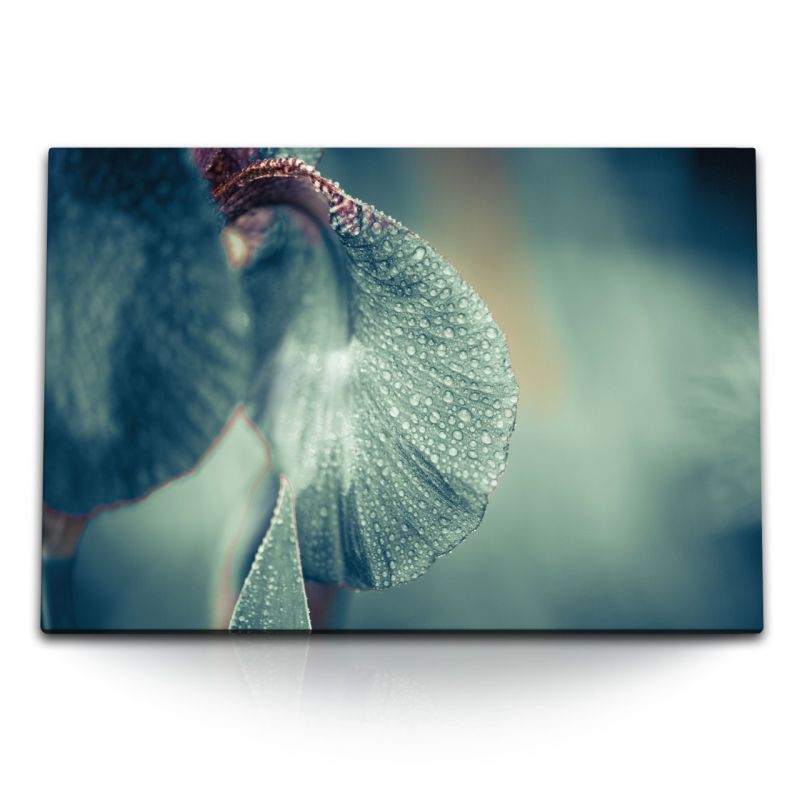 120x80cm Wandbild auf Leinwand Orchidee Blüte Makrofotografie Grün Wassertropfen