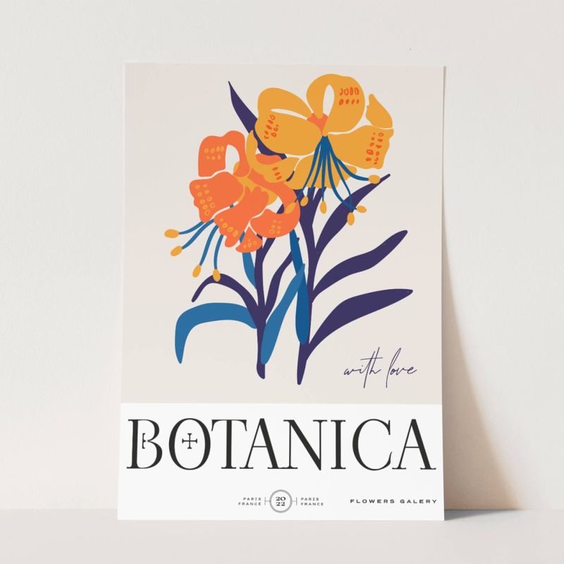 Botanica Wunderschöne Blumen Illustration Dekorativ Modern Farbenfroh