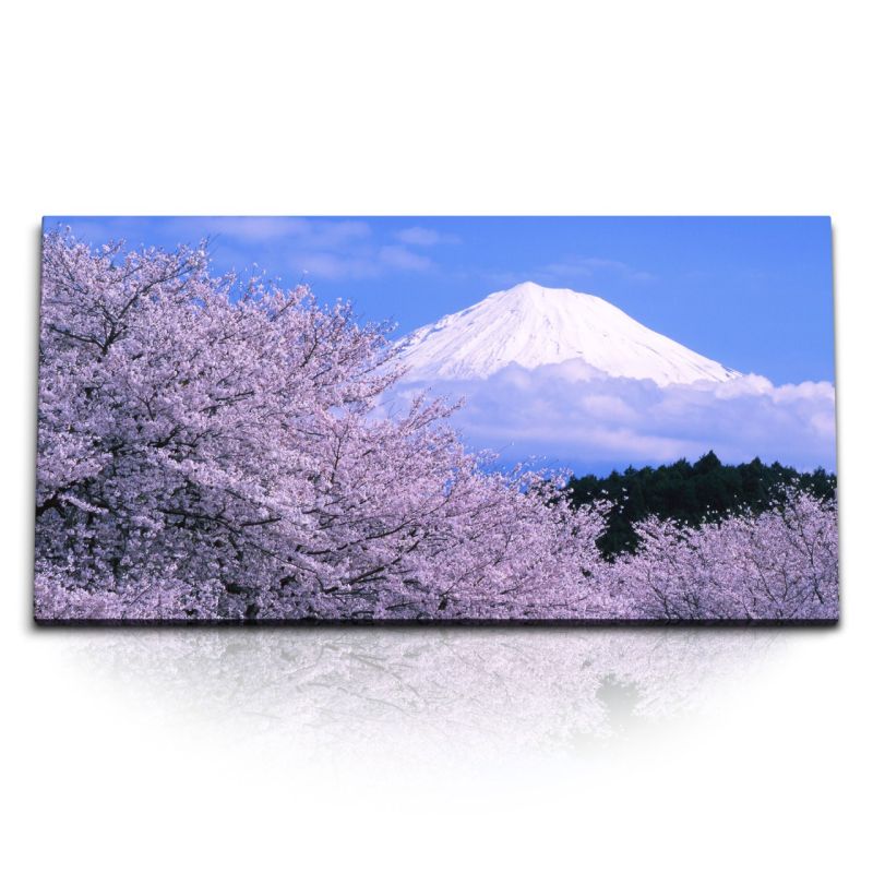 Kunstdruck Bilder 120x60cm Japanische Kirschblüten Japan Fuji Vulkan Frühling