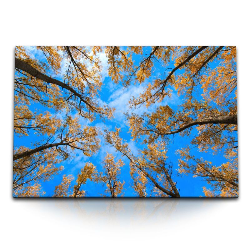 120x80cm Wandbild auf Leinwand Baumkronen blauer Himmel Herbstblätter Natur