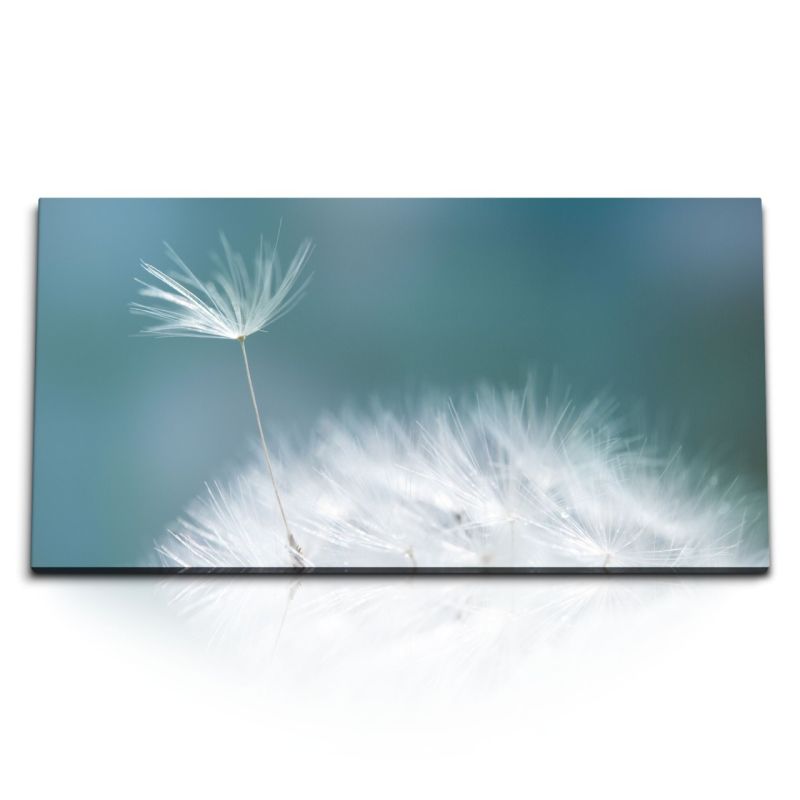 Kunstdruck Bilder 120x60cm Makrofotografie Pusteblume Kunstvoll Nahaufnahme