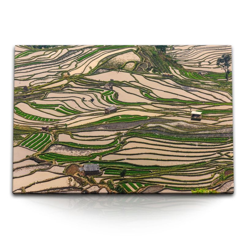 120x80cm Wandbild auf Leinwand Reisfelder Vietnam Asien Grün Reisanbau Natur