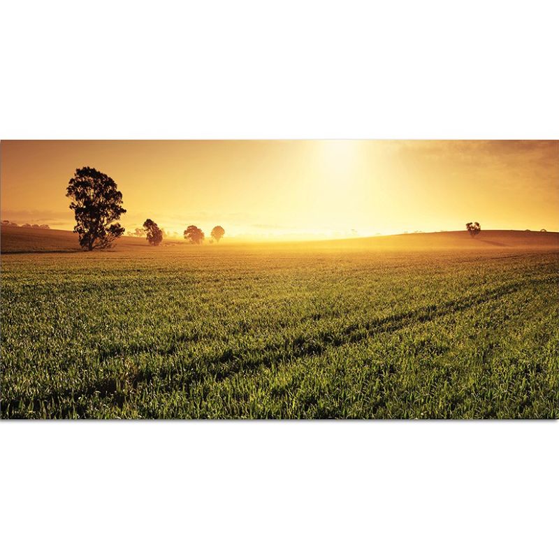 Wandbild 120x60cm Sonnenaufgang Feld Wiese – Stimmungsvolle Naturkulisse für Ihre Wand Lebendig