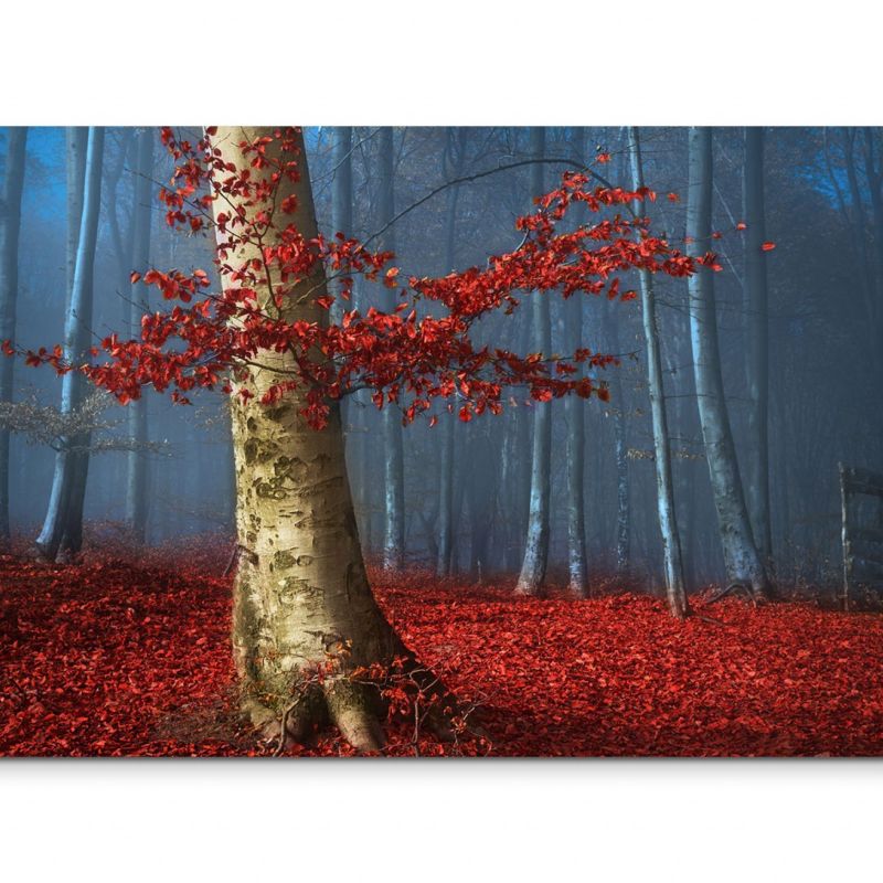 120x80cm Wandbild Wald Bäume Herbst Blätter Laub Nebel